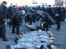 Demo 14.01.2012